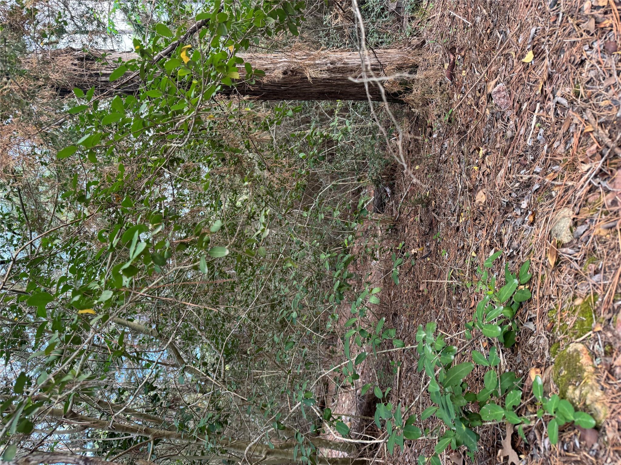 Lots 158 and 159 Hekili Dr, Bastrop, TX 78602