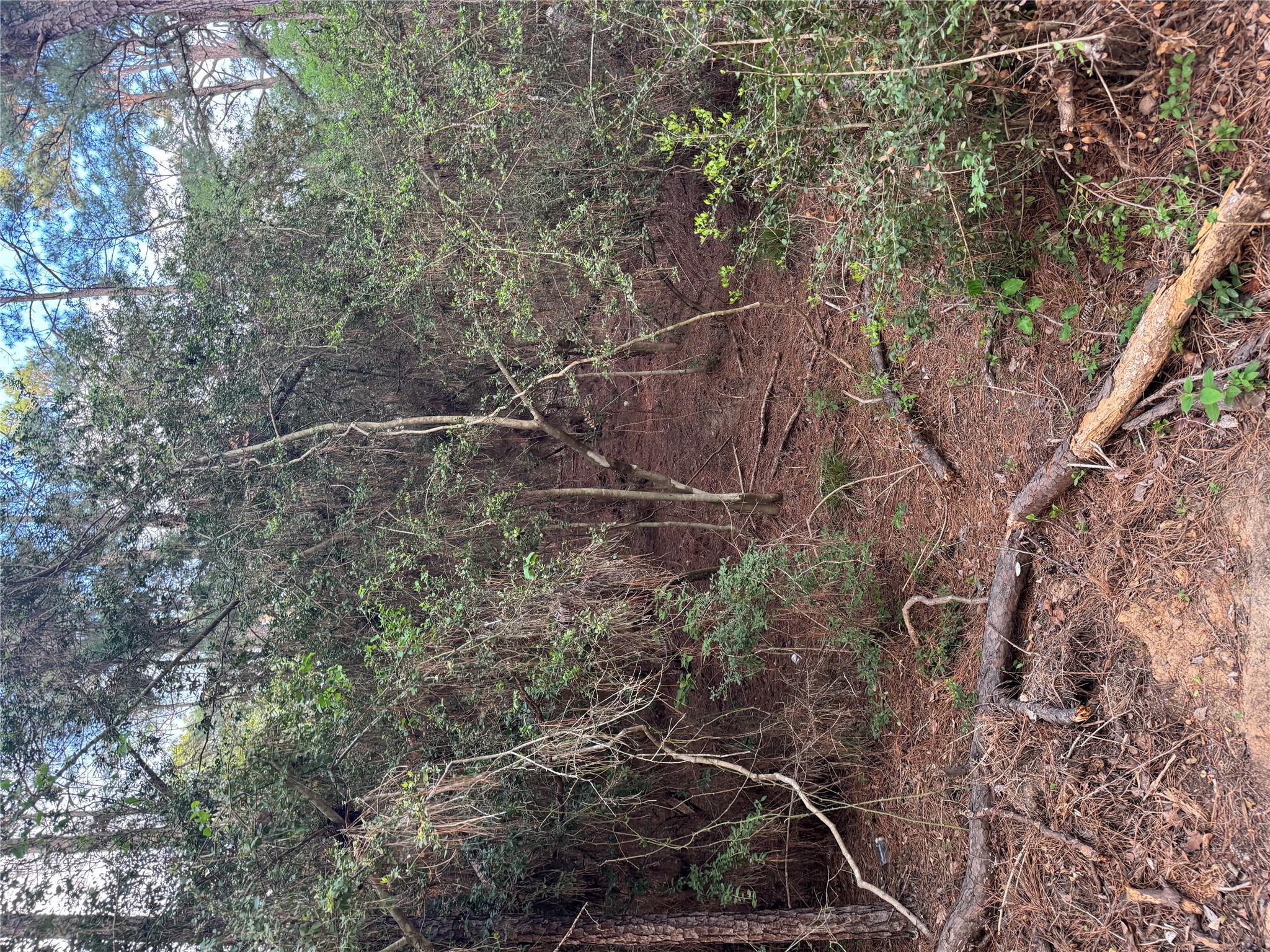 Lots 158 and 159 Hekili Dr, Bastrop, TX 78602