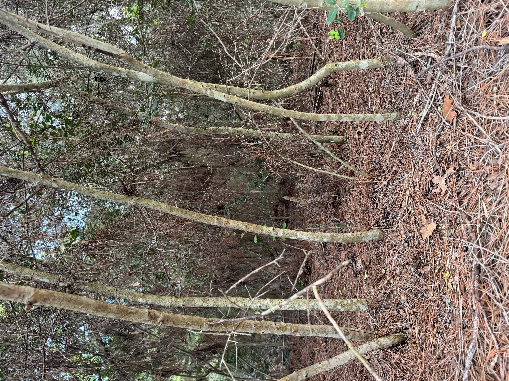 Lots 158 and 159 Hekili Dr, Bastrop, TX 78602