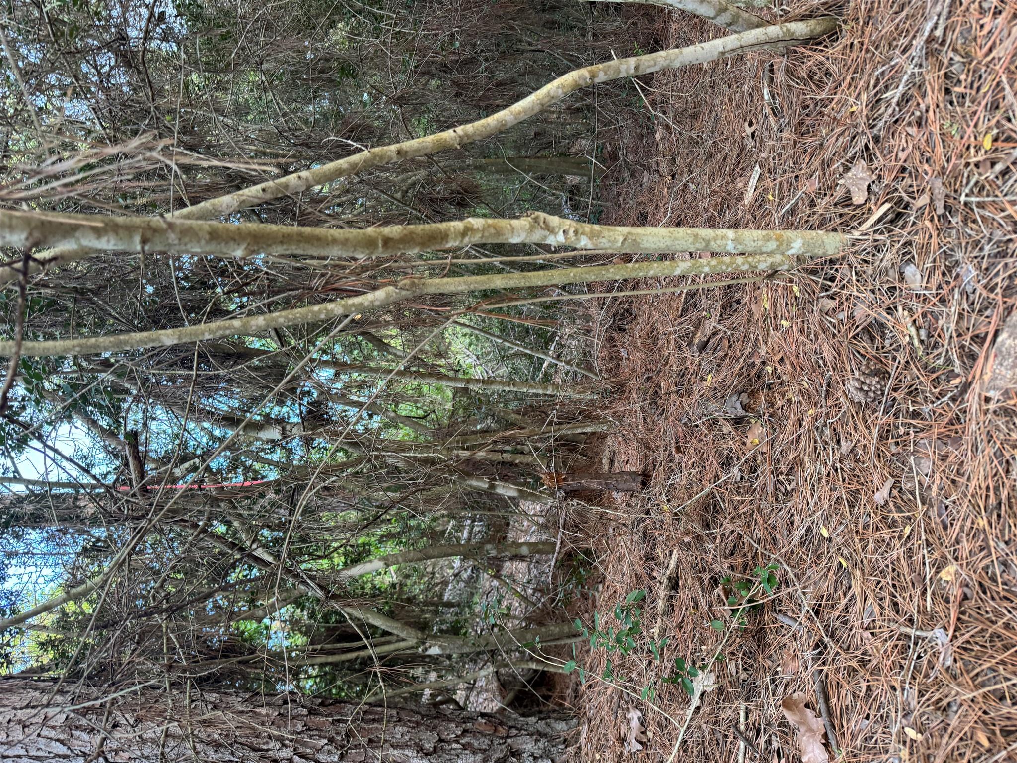 Lots 158 and 159 Hekili Dr, Bastrop, TX 78602