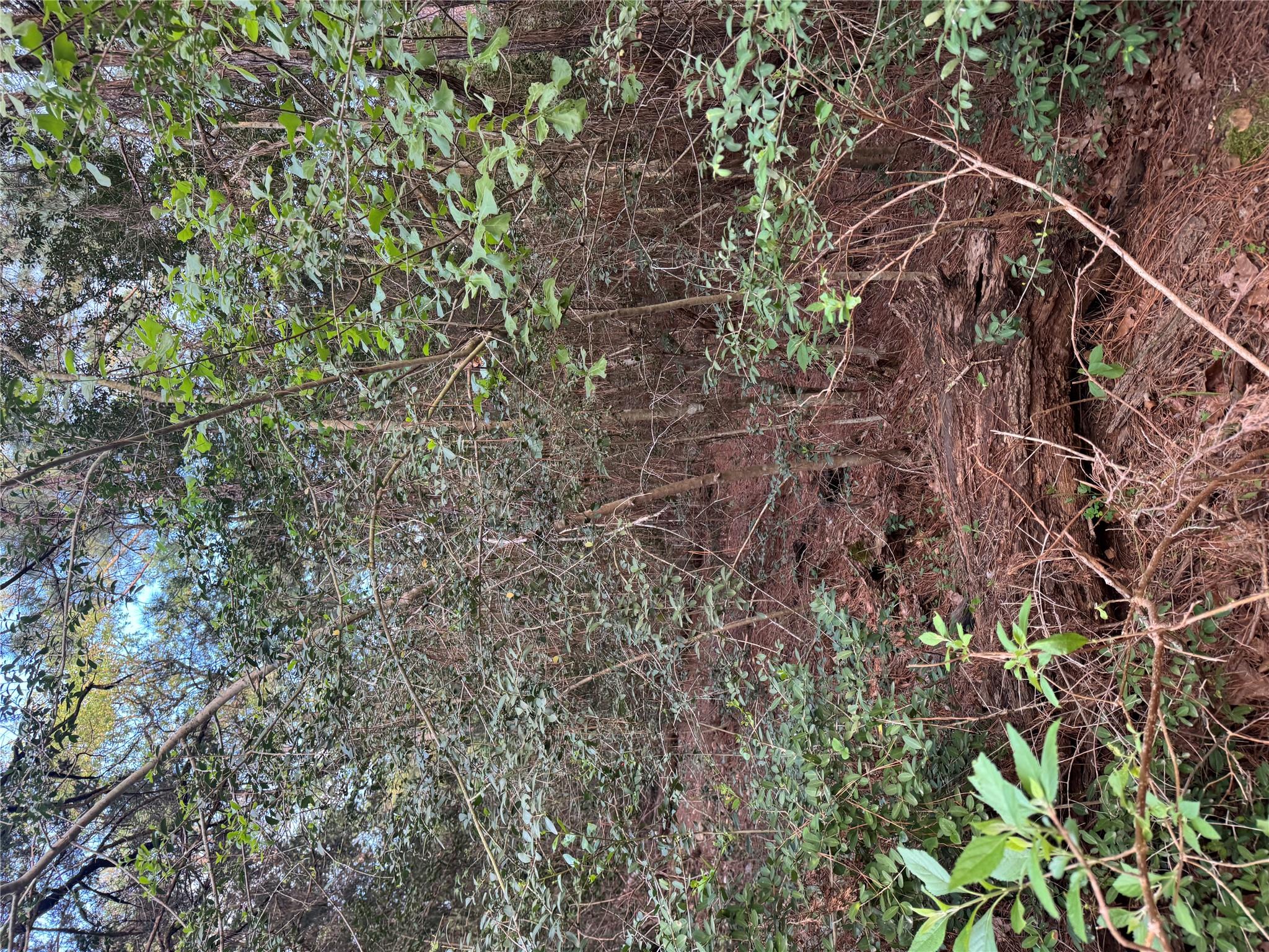 Lots 158 and 159 Hekili Dr, Bastrop, TX 78602