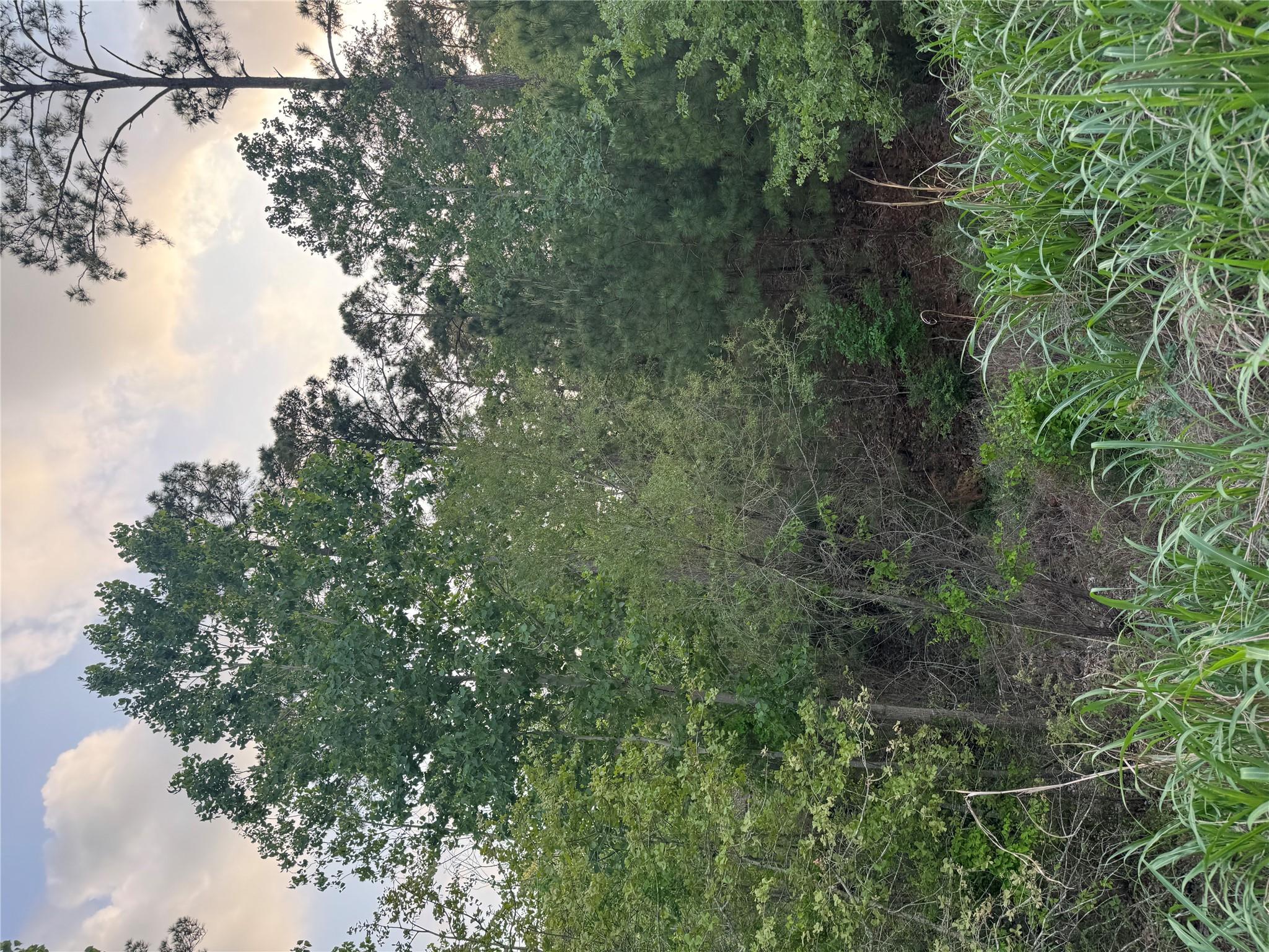 Lot 1386 N Pahihi Dr, Bastrop, TX 78602