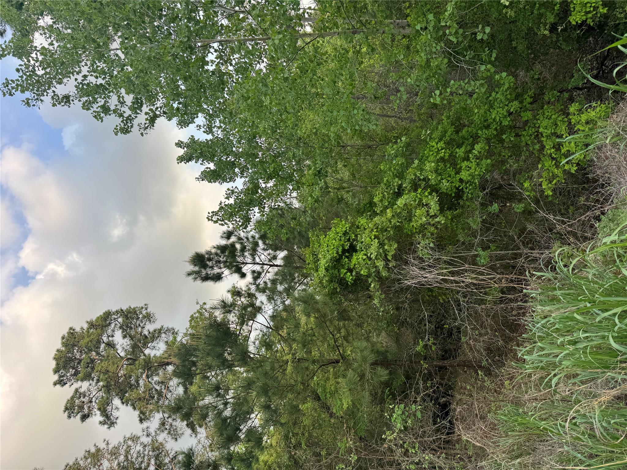 Lot 1386 N Pahihi Dr, Bastrop, TX 78602