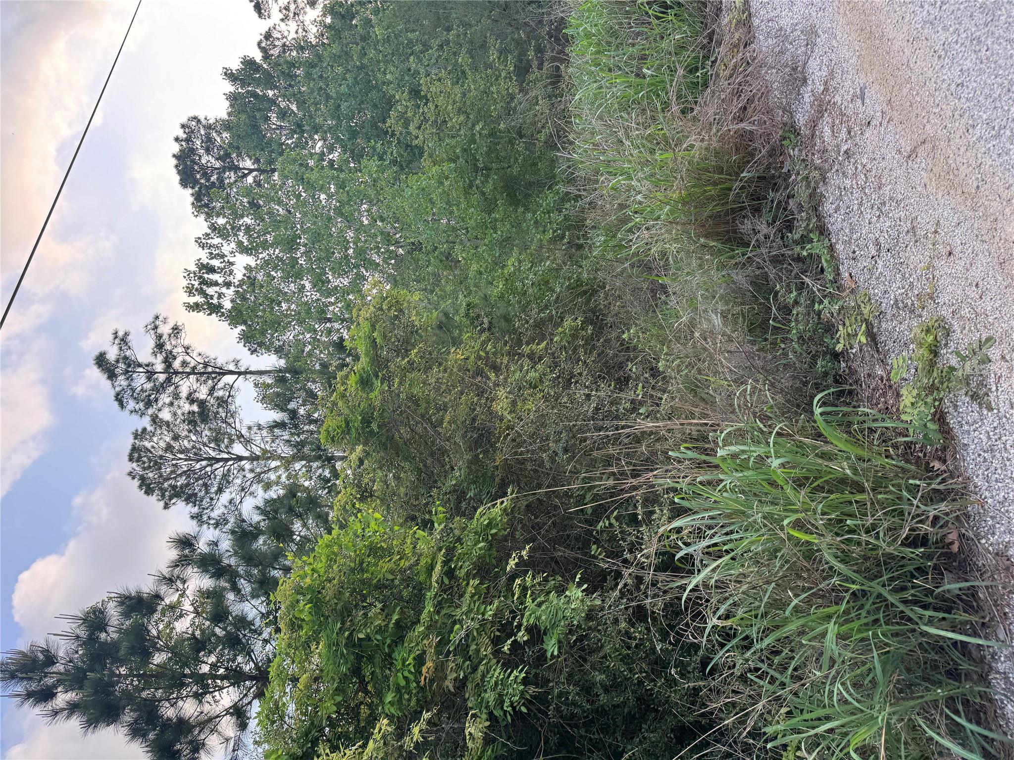 Lot 1386 N Pahihi Dr, Bastrop, TX 78602