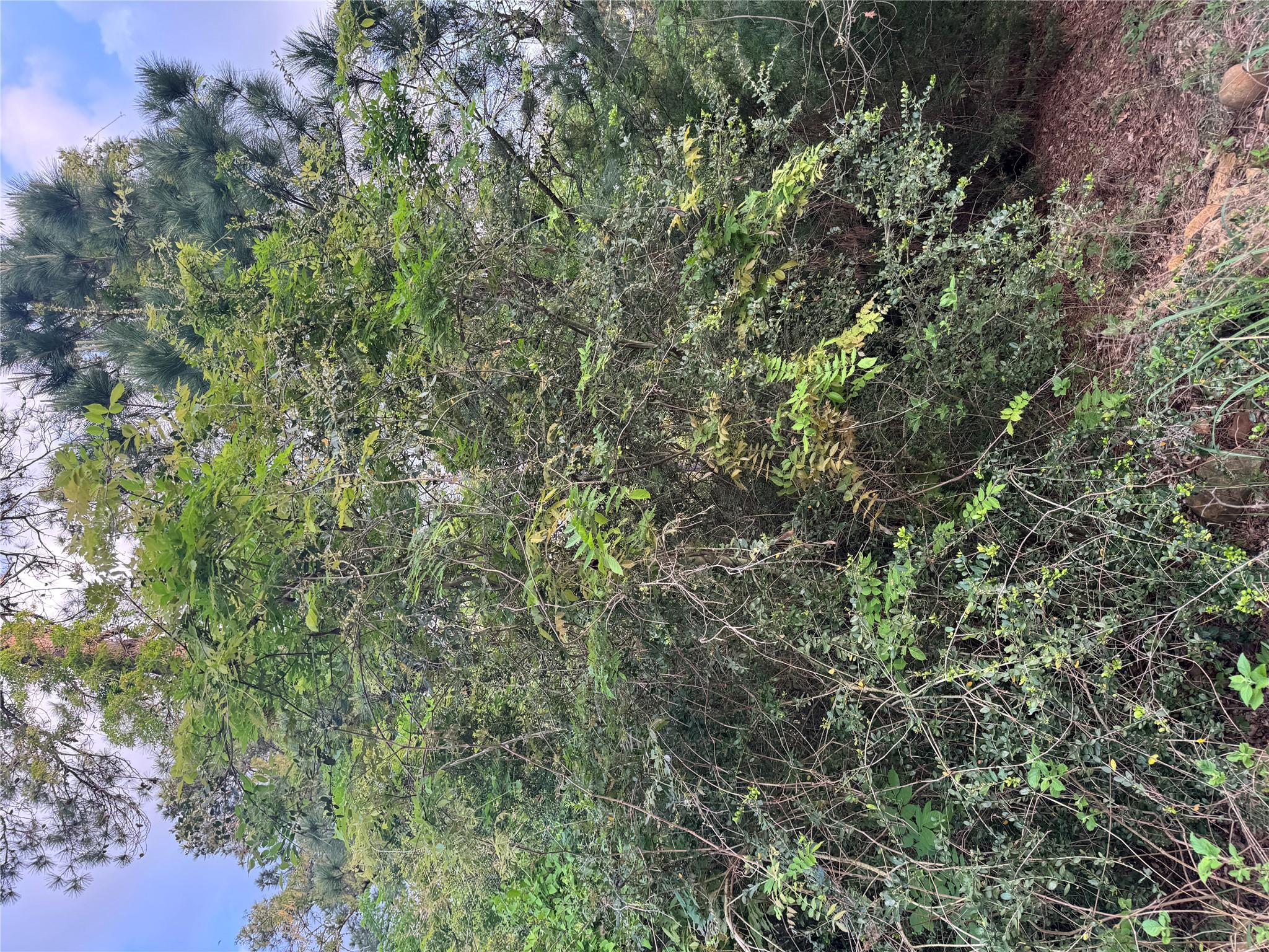 Lot 1386 N Pahihi Dr, Bastrop, TX 78602