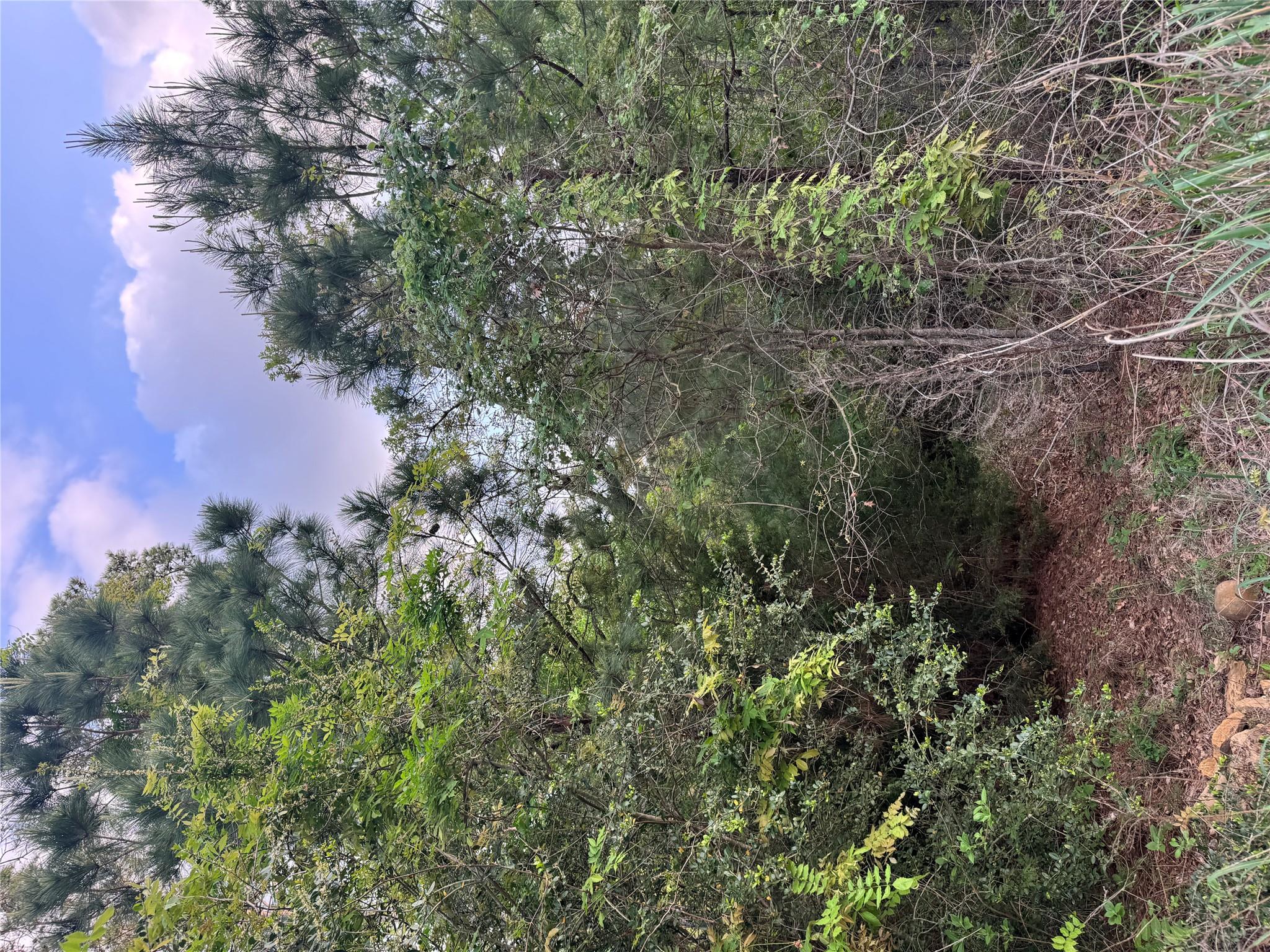 Lot 1386 N Pahihi Dr, Bastrop, TX 78602