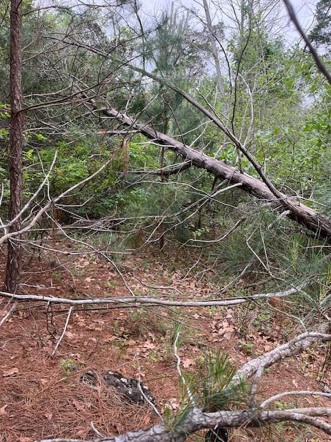 Lot 1603 Ulupau Cir, Bastrop, TX 78602