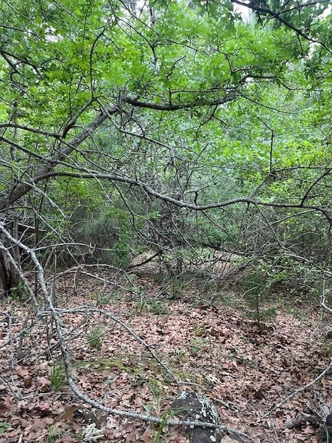 Lot 1603 Ulupau Cir, Bastrop, TX 78602