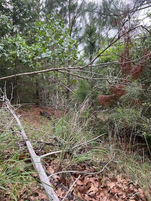 Lot 1603 Ulupau Cir, Bastrop, TX 78602