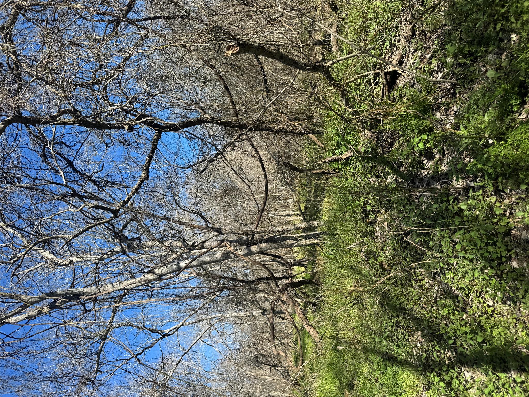 Lot 961 Riverside Dr, Bastrop, TX 78602