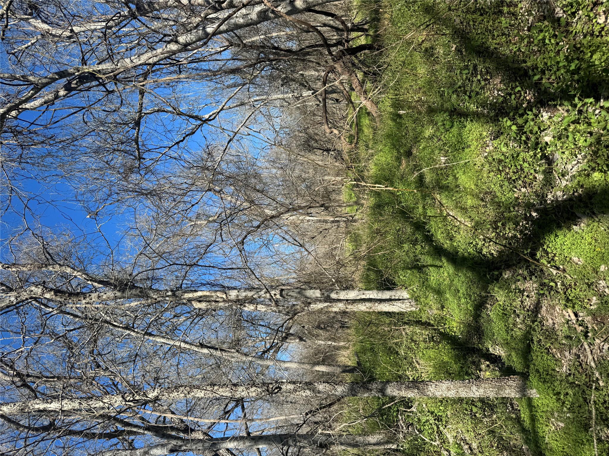 Lot 961 Riverside Dr, Bastrop, TX 78602