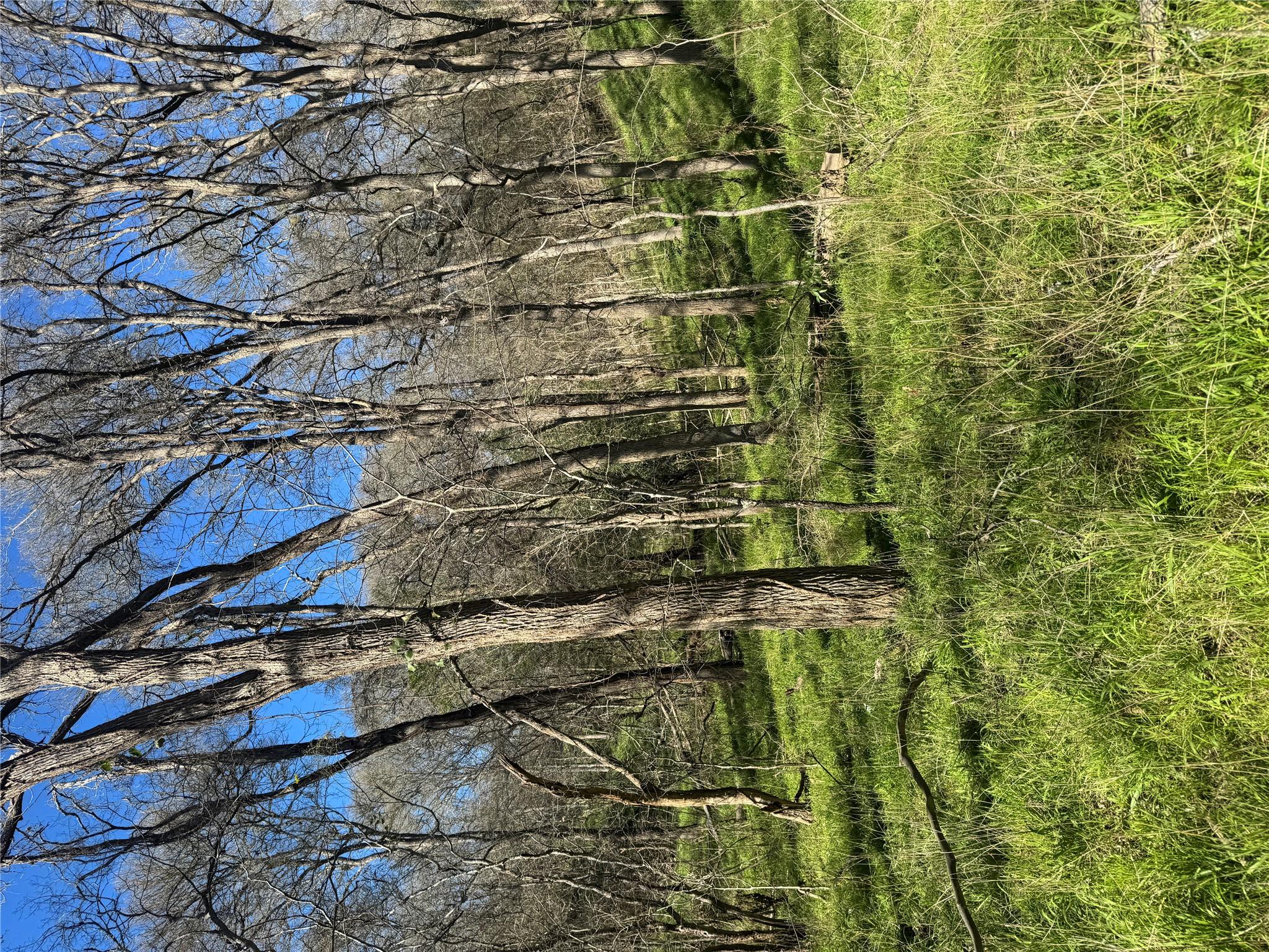 Lots 638. 639. 640 Kaukonahua Ln, Bastrop, TX 78602