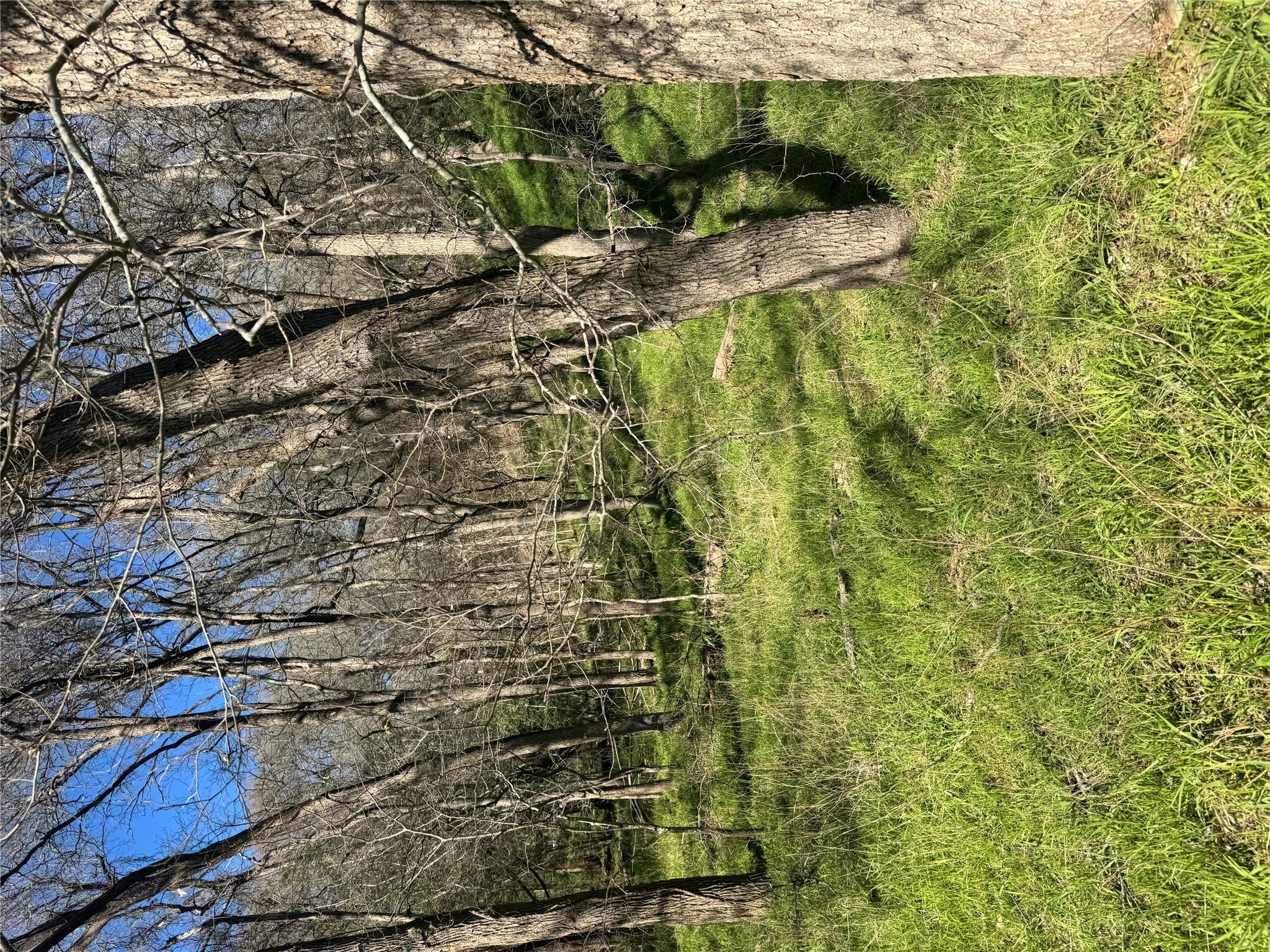 Lots 638. 639. 640 Kaukonahua Ln, Bastrop, TX 78602