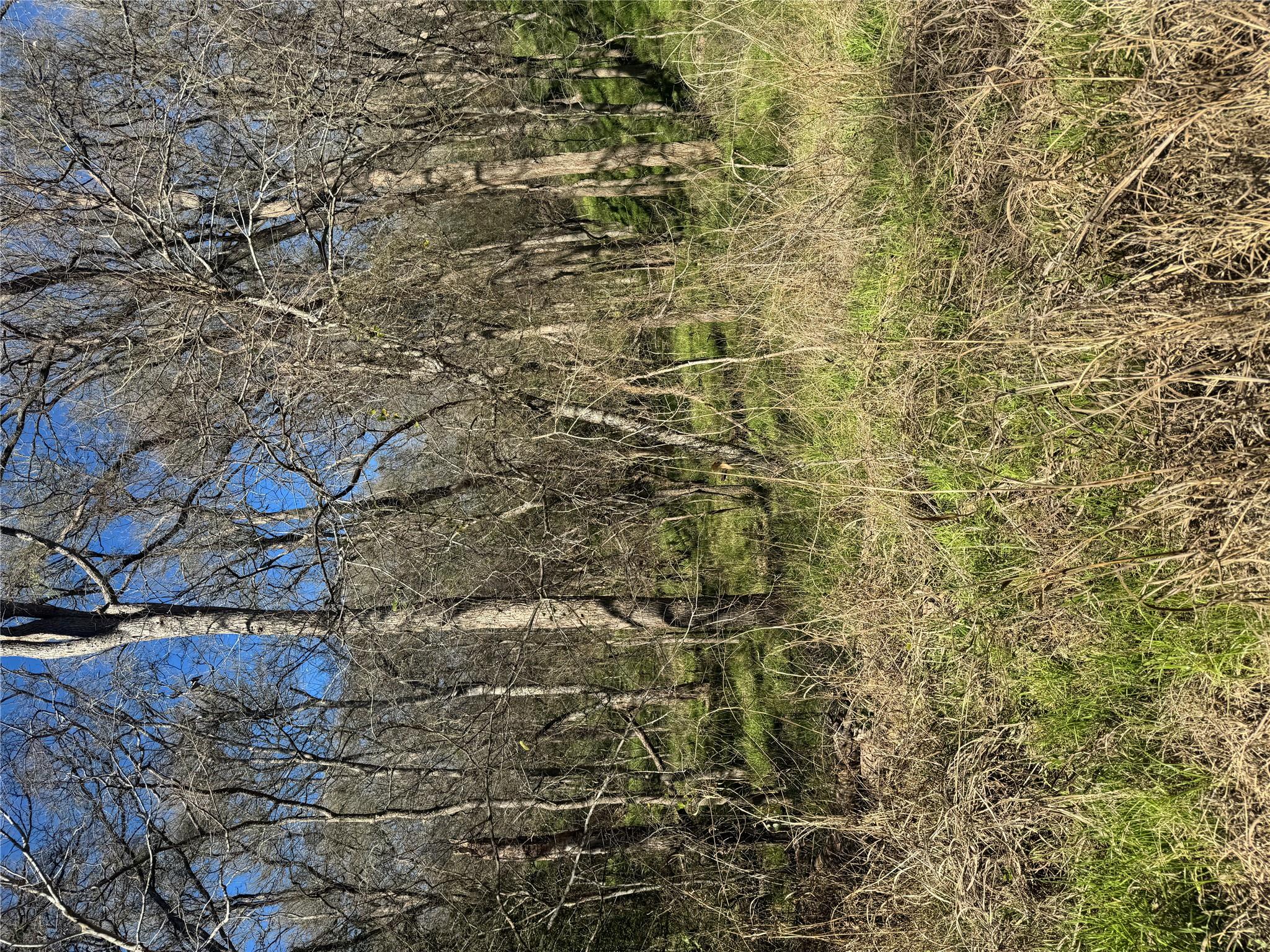 Lots 638. 639. 640 Kaukonahua Ln, Bastrop, TX 78602