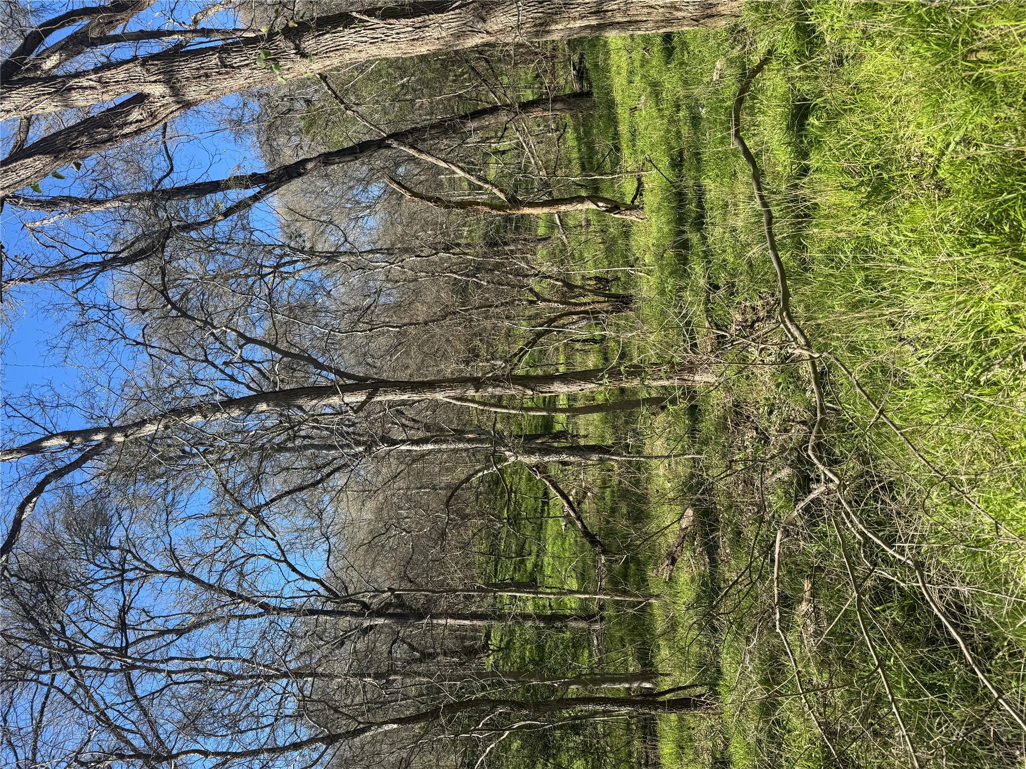 Lots 638. 639. 640 Kaukonahua Ln, Bastrop, TX 78602