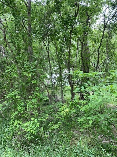 Lot 812 Kaukonahua Ln, Bastrop, TX 78602