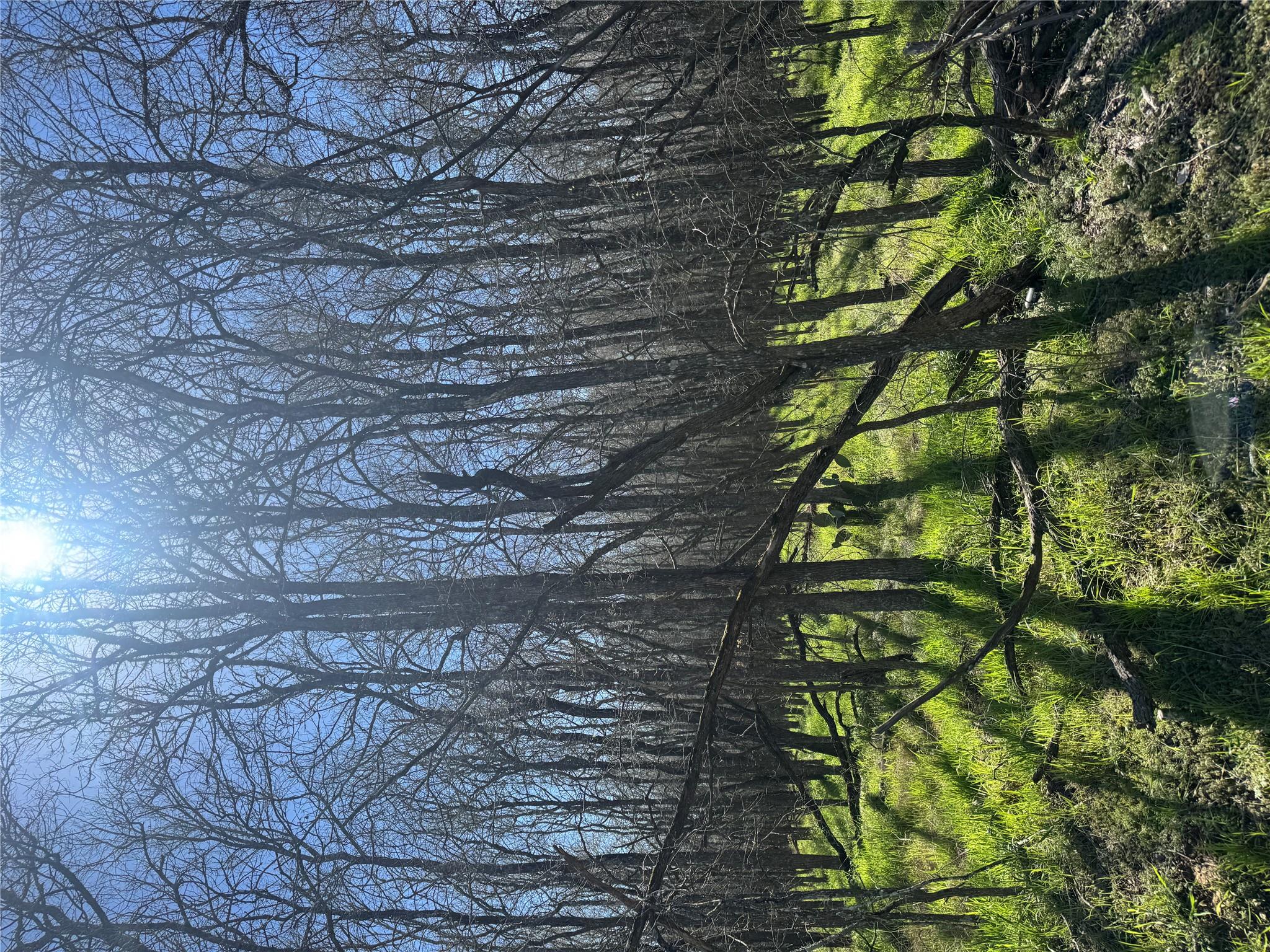 289 Iva Ln, Bastrop, TX 78602