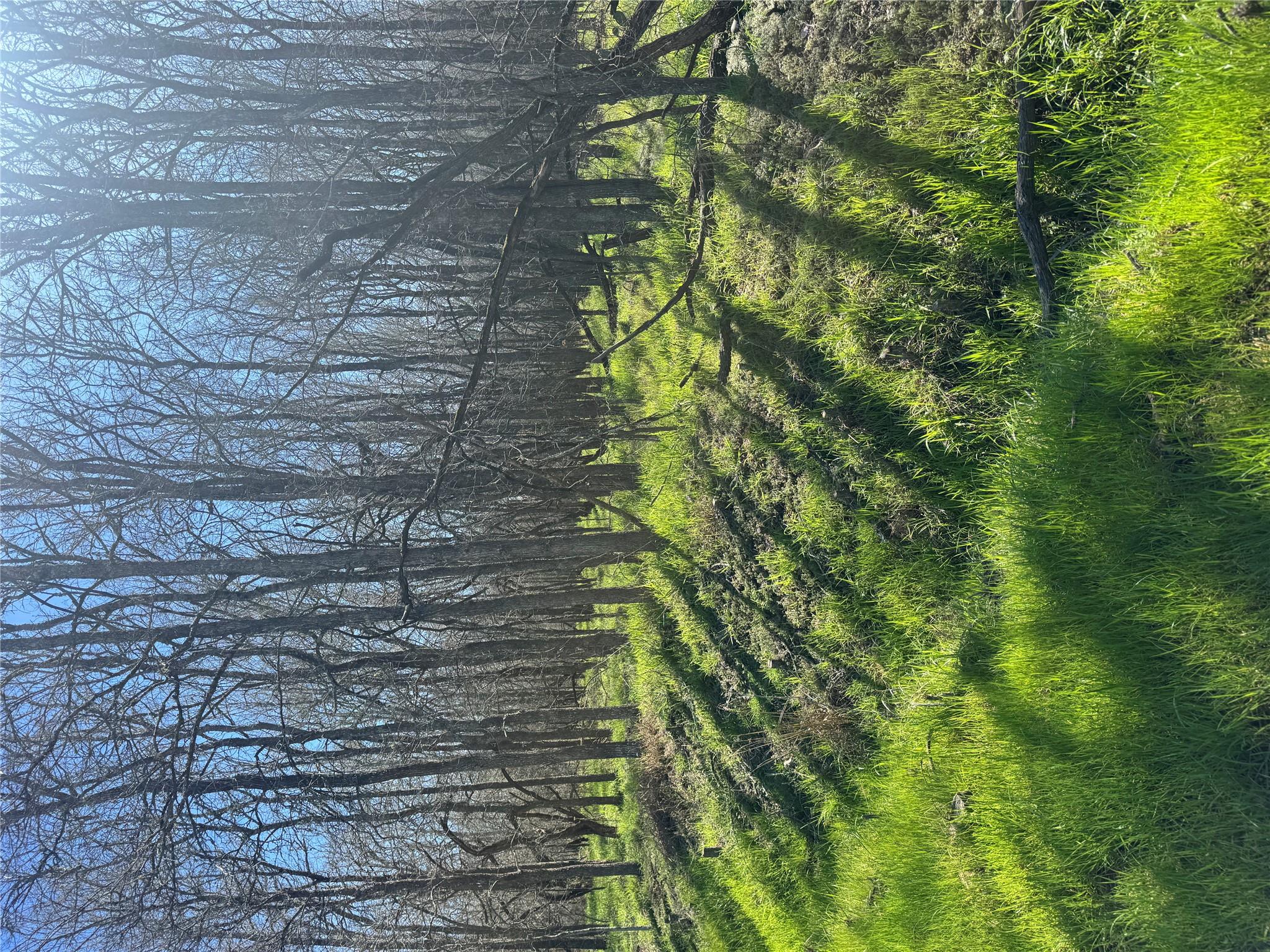 289 Iva Ln, Bastrop, TX 78602