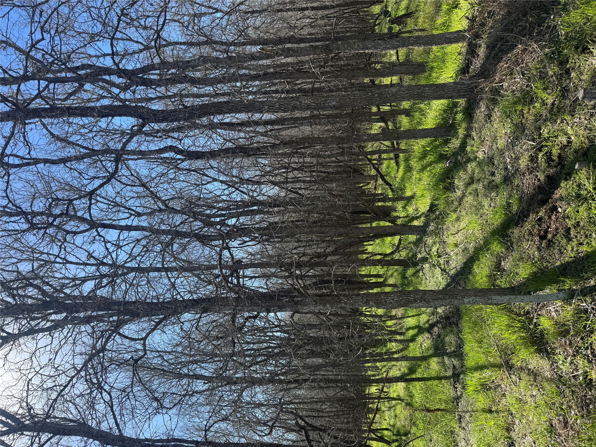 289 Iva Ln, Bastrop, TX 78602