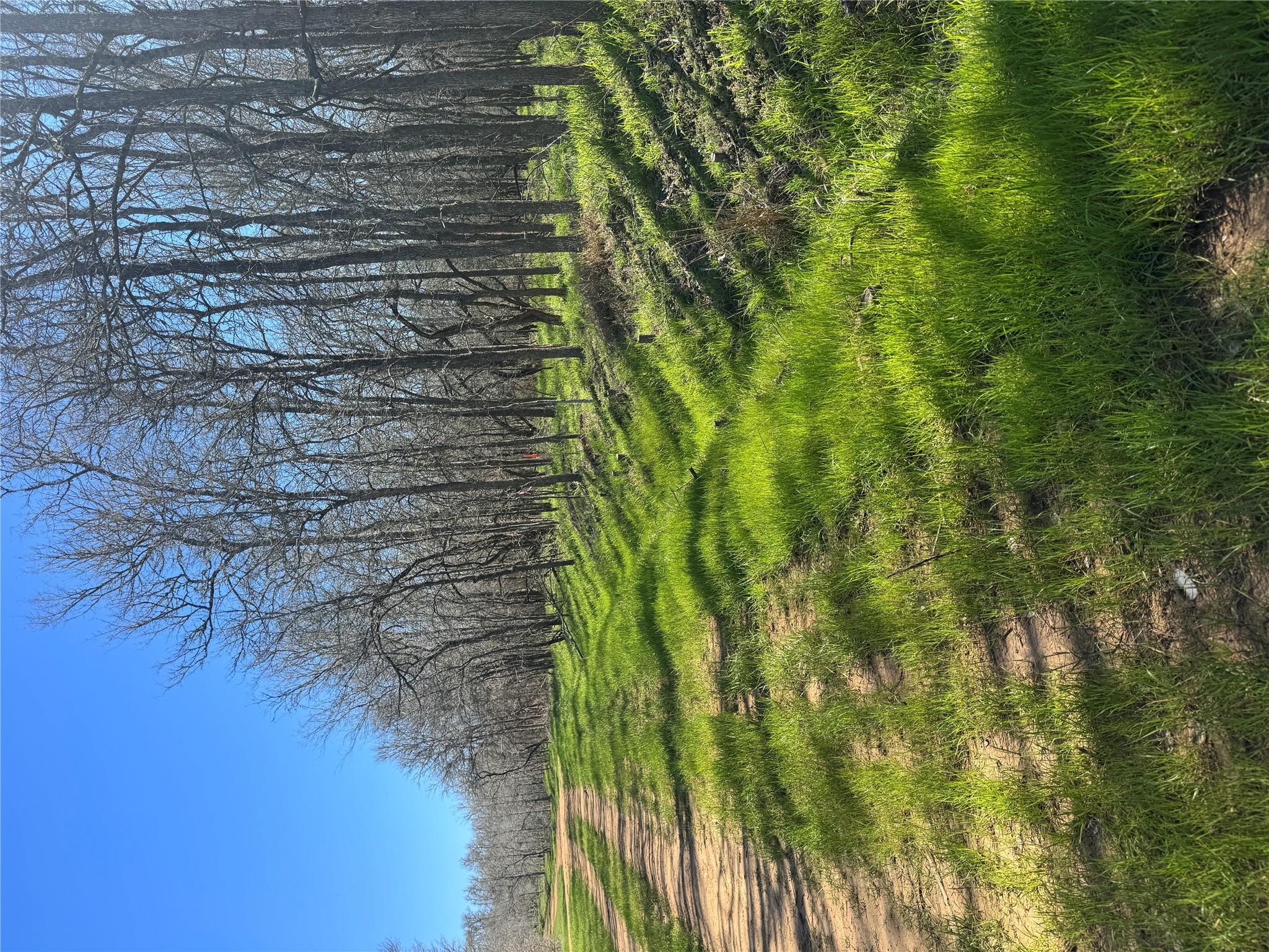 289 Iva Ln, Bastrop, TX 78602