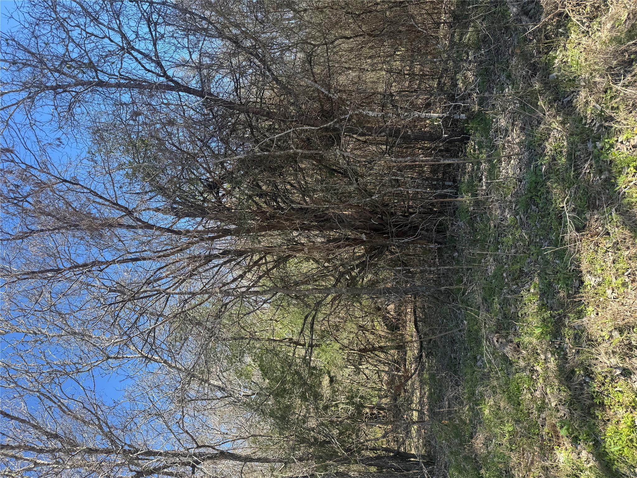 Lot 321 Kolekole Ln, Bastrop, TX 78602