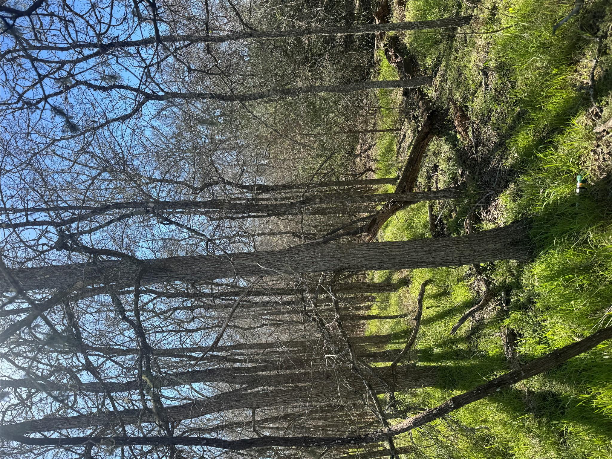 Lot 321 Kolekole Ln, Bastrop, TX 78602