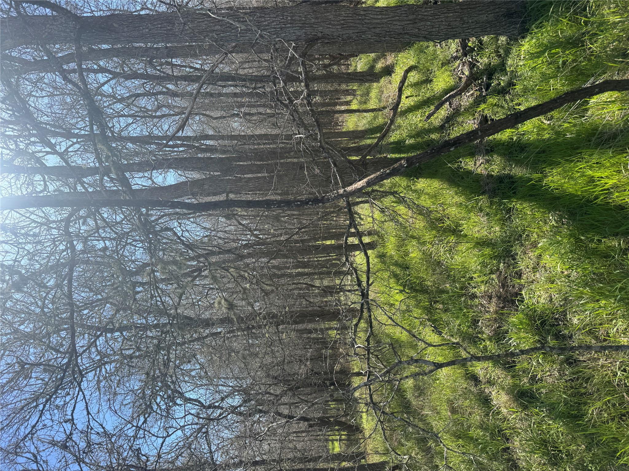 Lot 321 Kolekole Ln, Bastrop, TX 78602