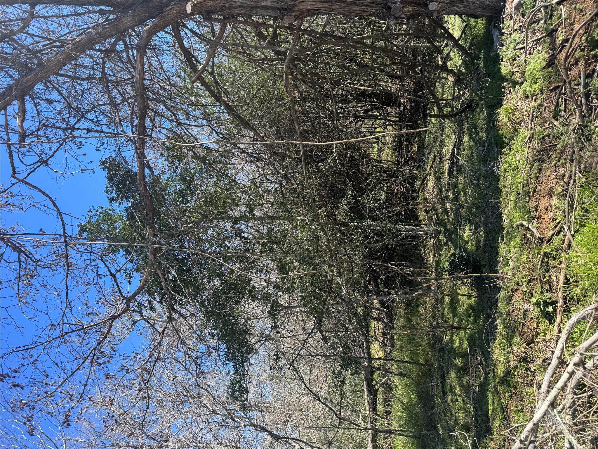 Lot 321 Kolekole Ln, Bastrop, TX 78602