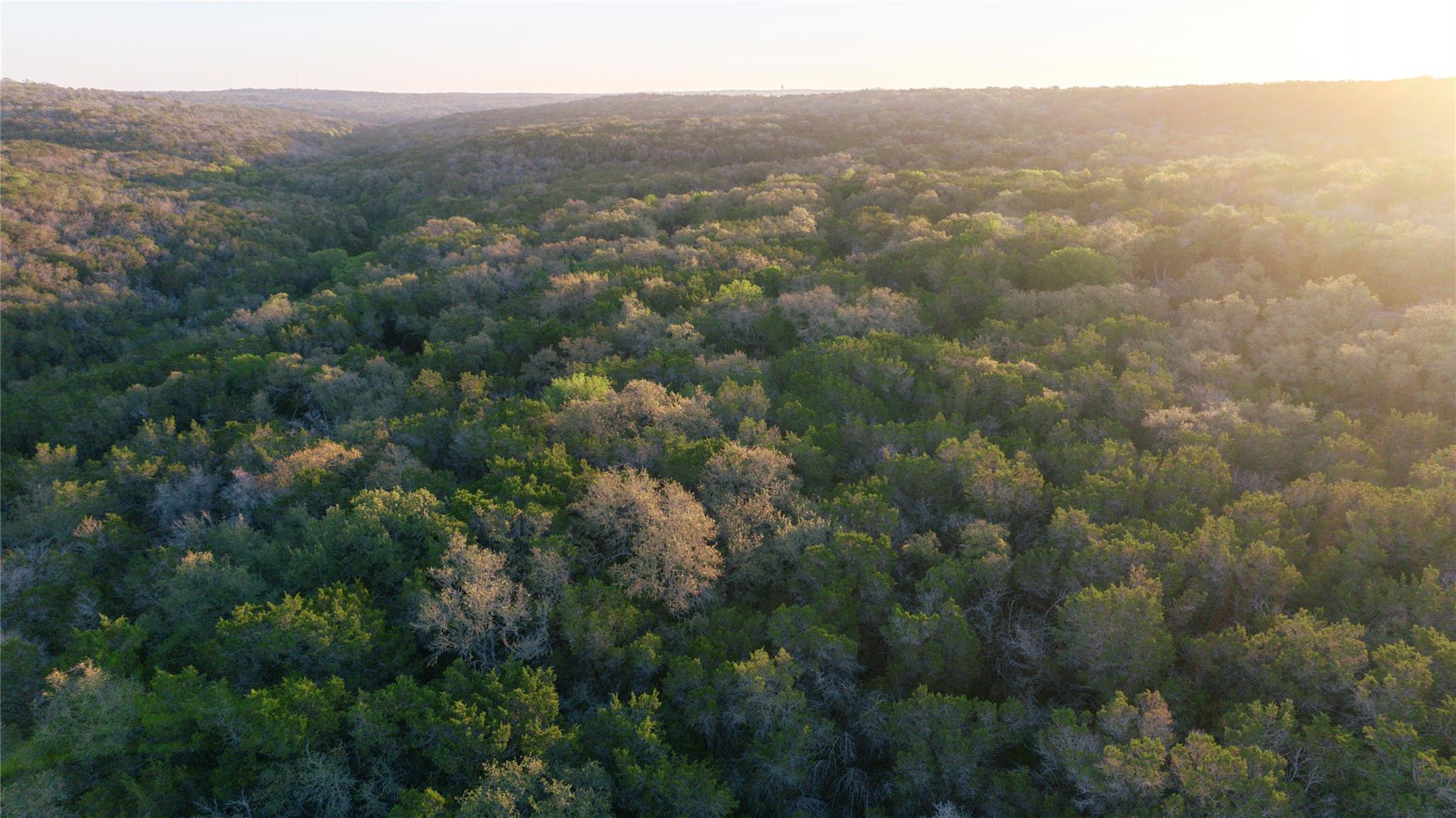 1901 Oak Grove Rd, San Marcos, TX 78666