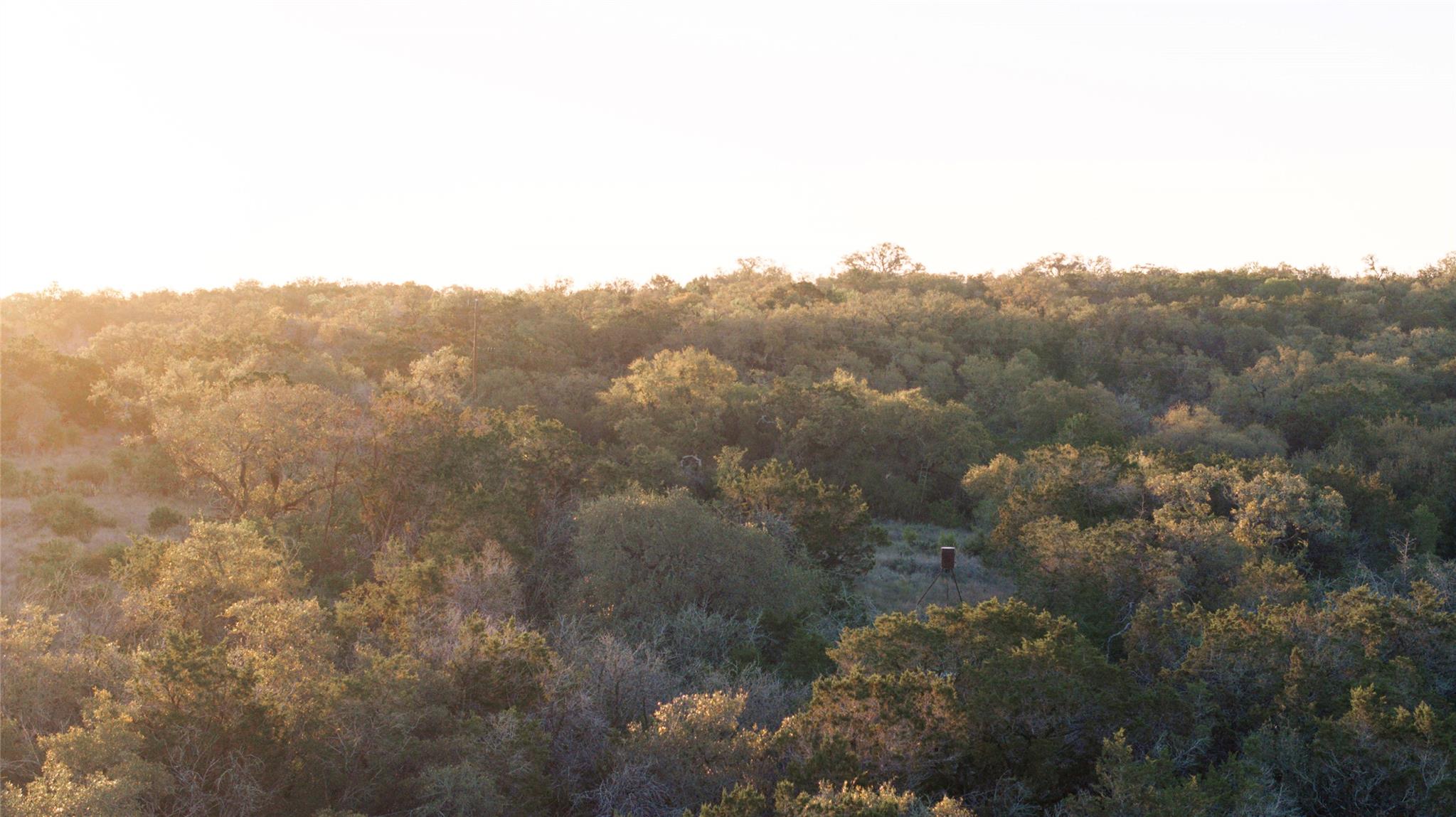 1901 Oak Grove Rd, San Marcos, TX 78666