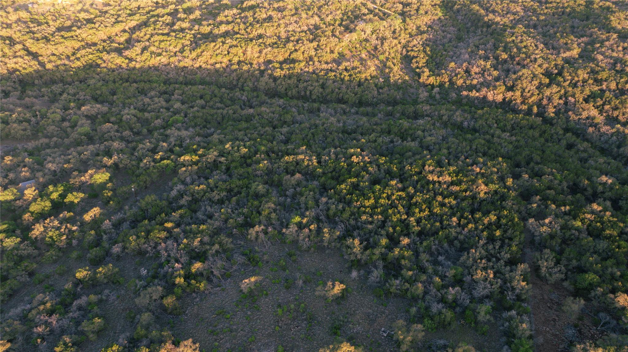 1901 Oak Grove Rd, San Marcos, TX 78666