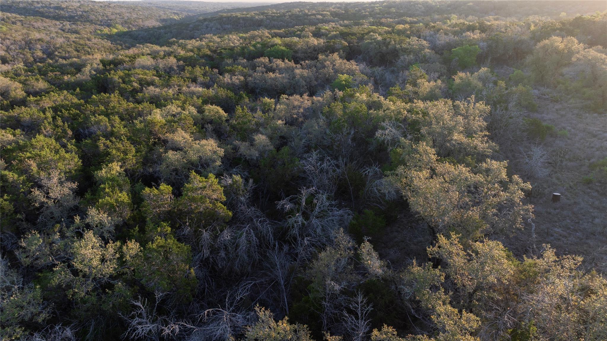 1901 Oak Grove Rd, San Marcos, TX 78666