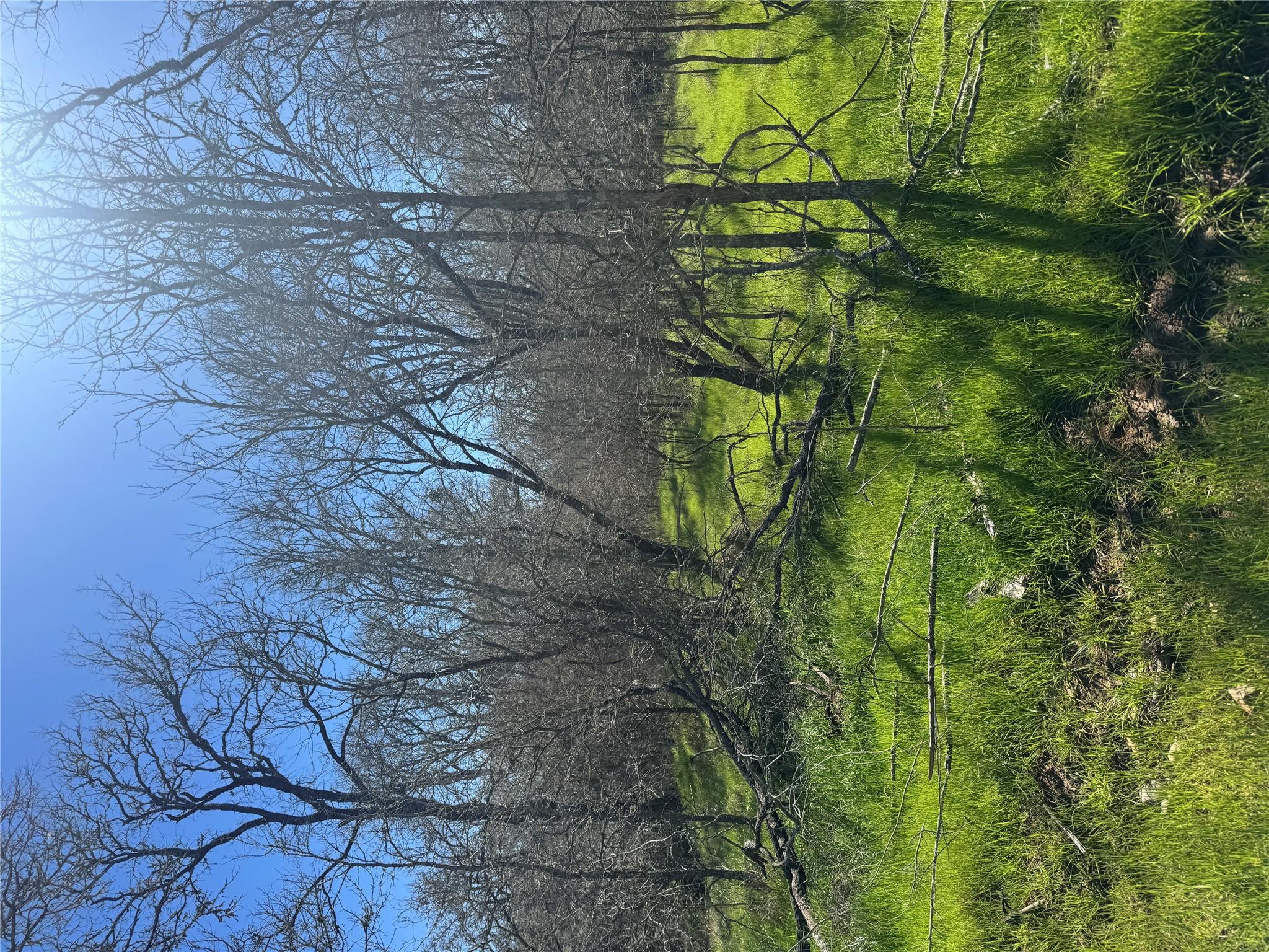 291 Kolekole Ln, Bastrop, TX 78602