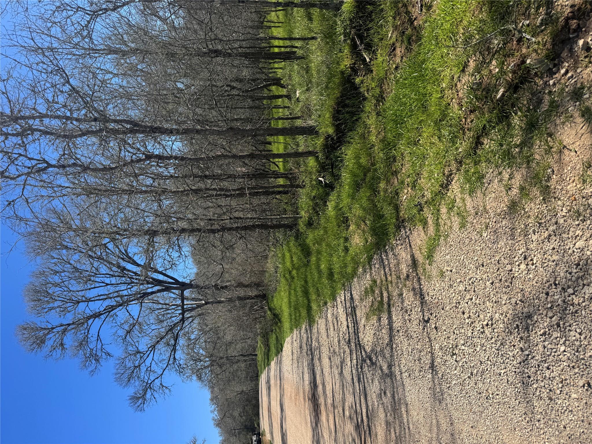 291 Kolekole Ln, Bastrop, TX 78602