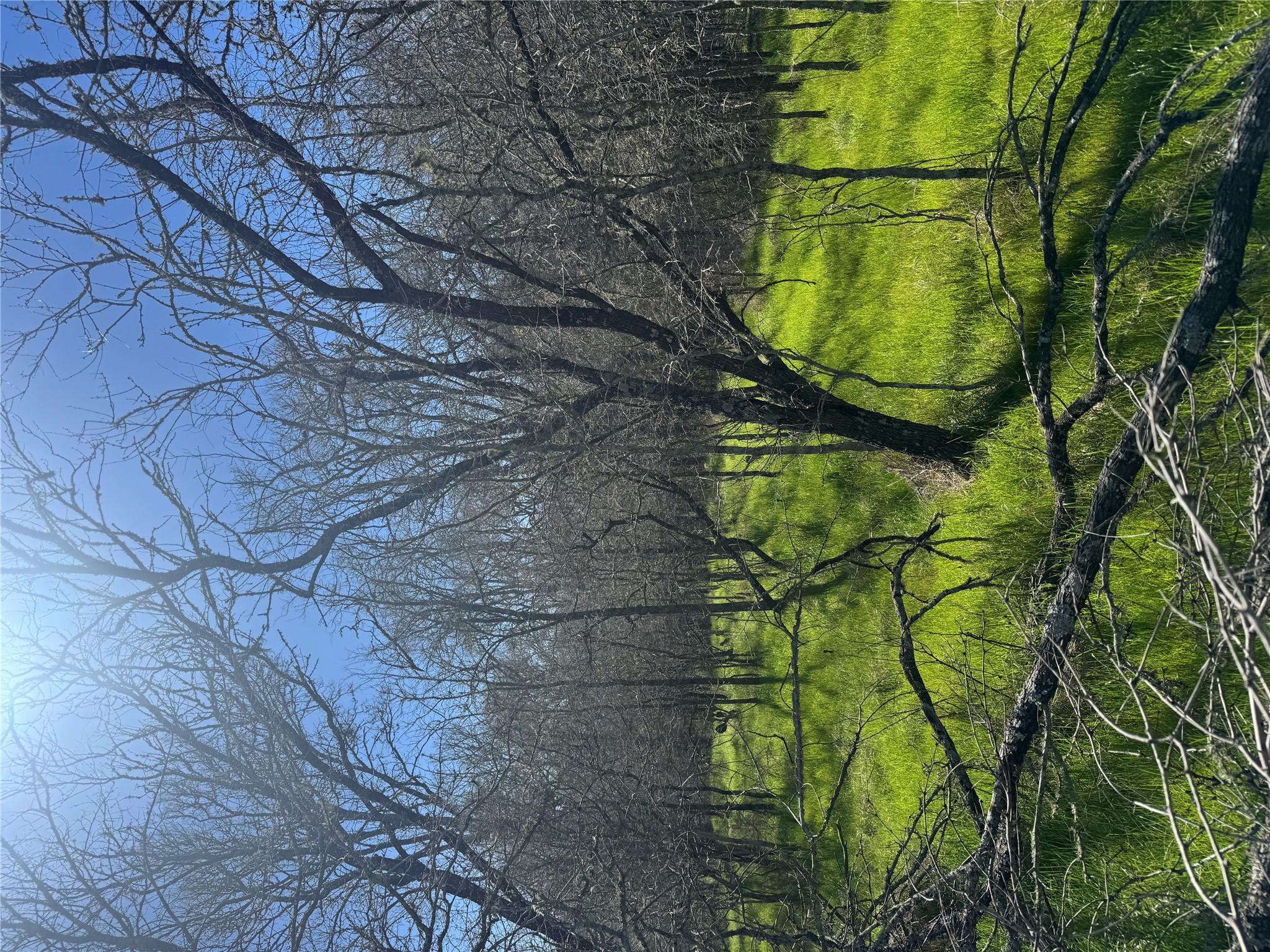 291 Kolekole Ln, Bastrop, TX 78602