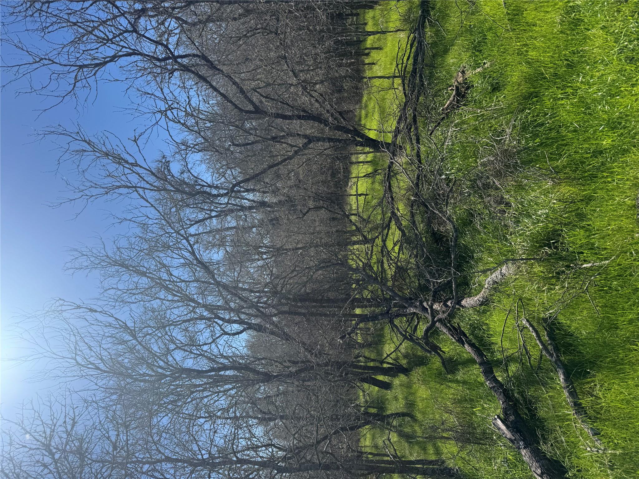 291 Kolekole Ln, Bastrop, TX 78602