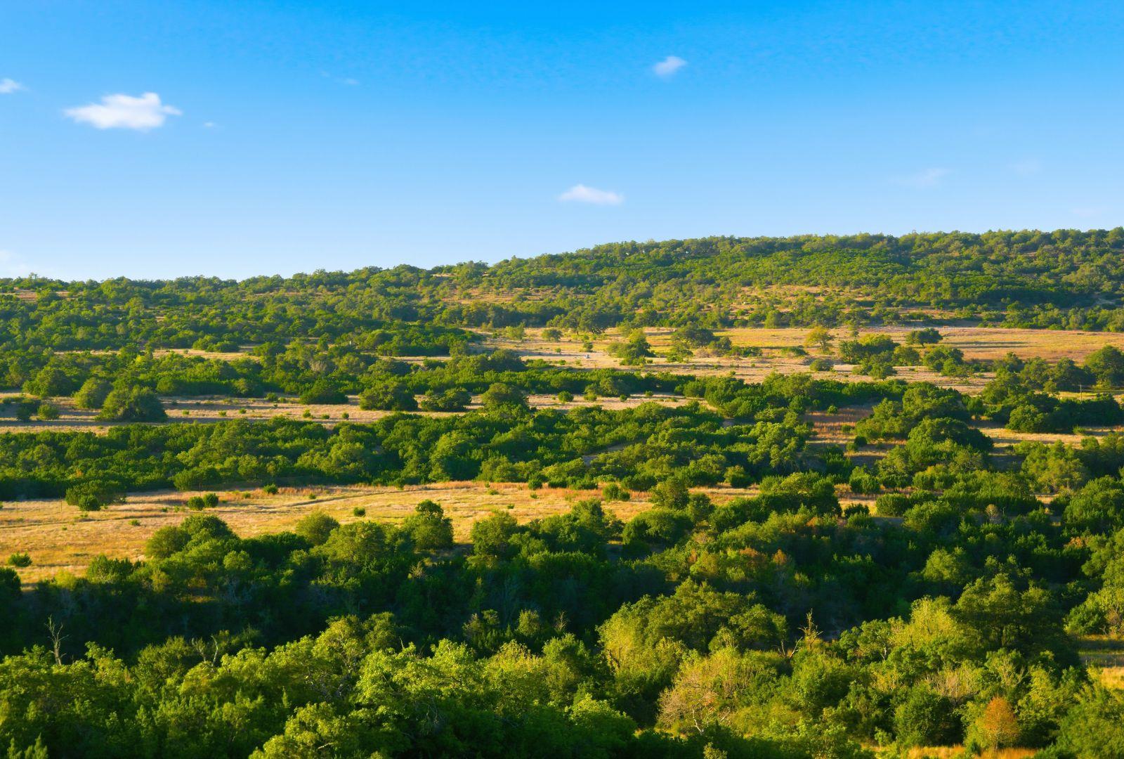 Dripping Springs, TX 78620