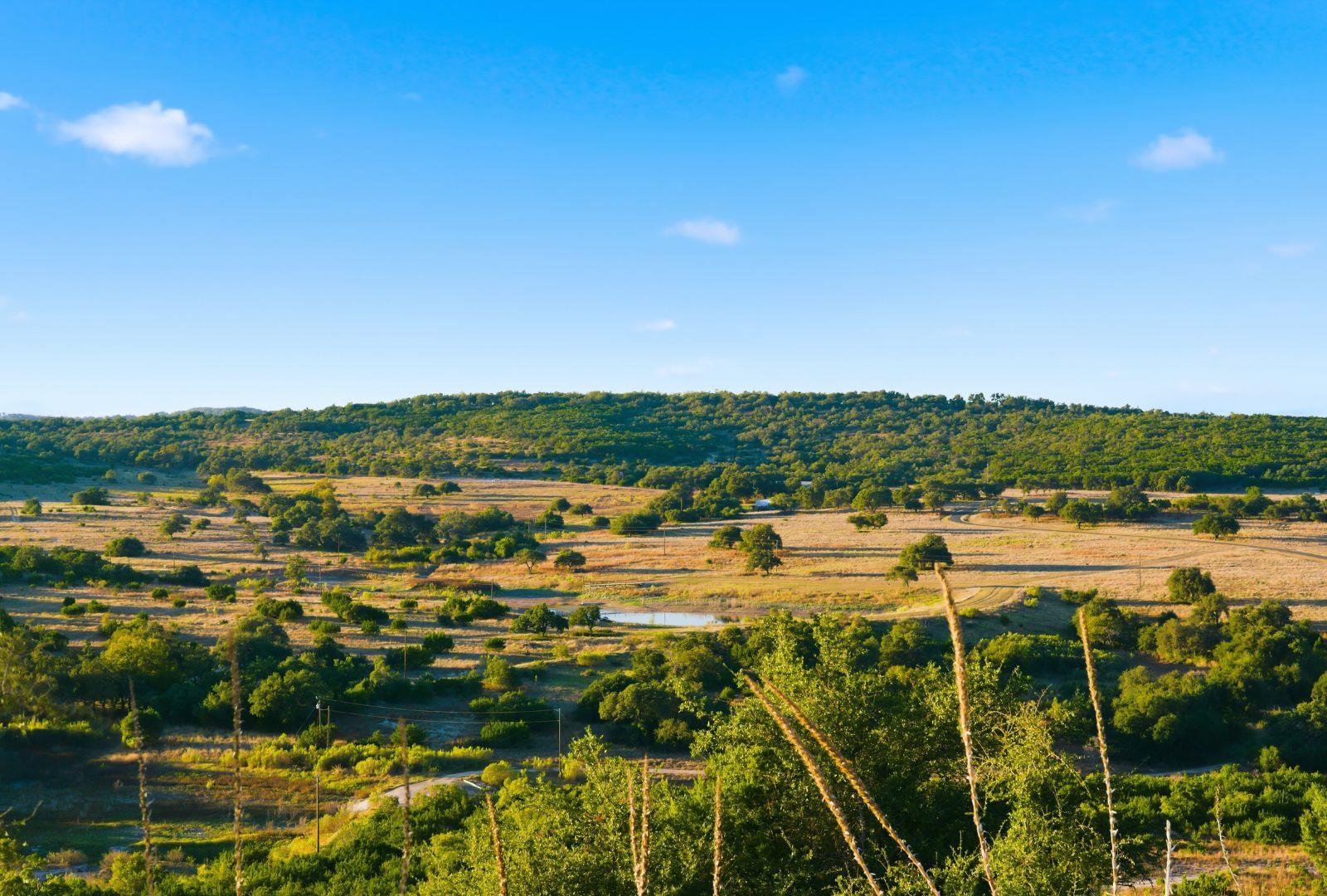 Dripping Springs, TX 78620