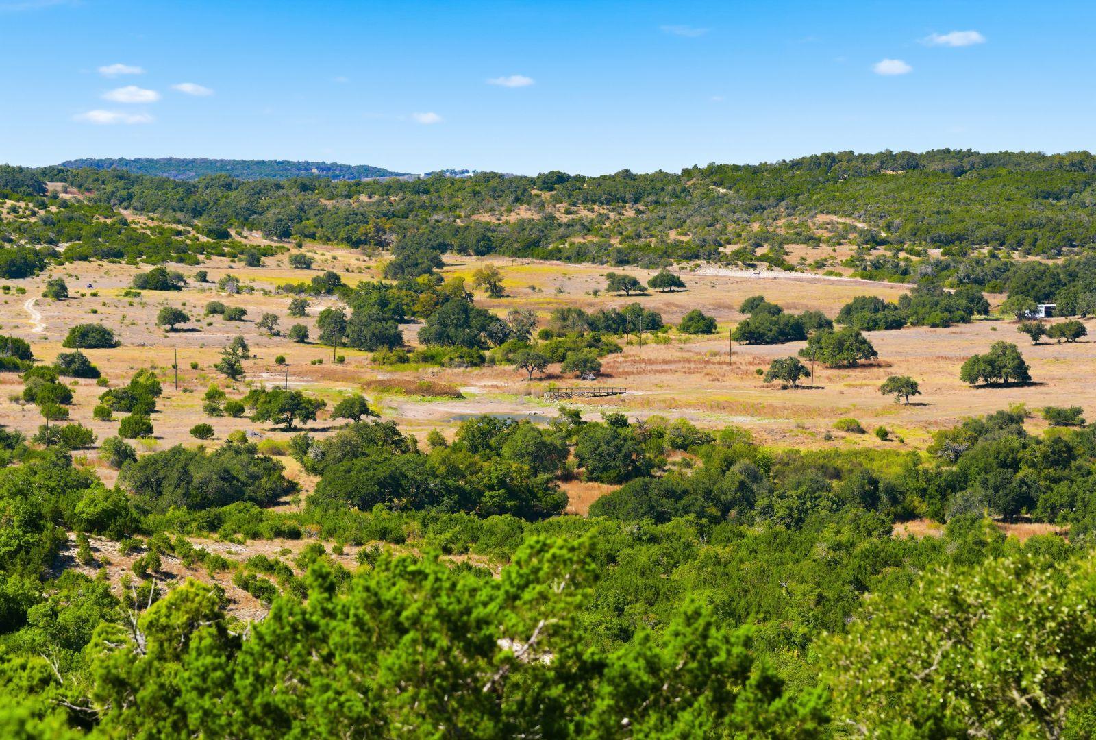 Dripping Springs, TX 78620