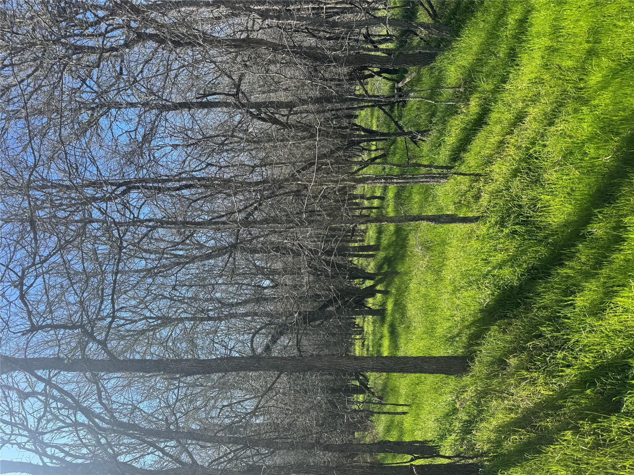 Lot 500 Kaaawa Ln, Bastrop, TX 78602