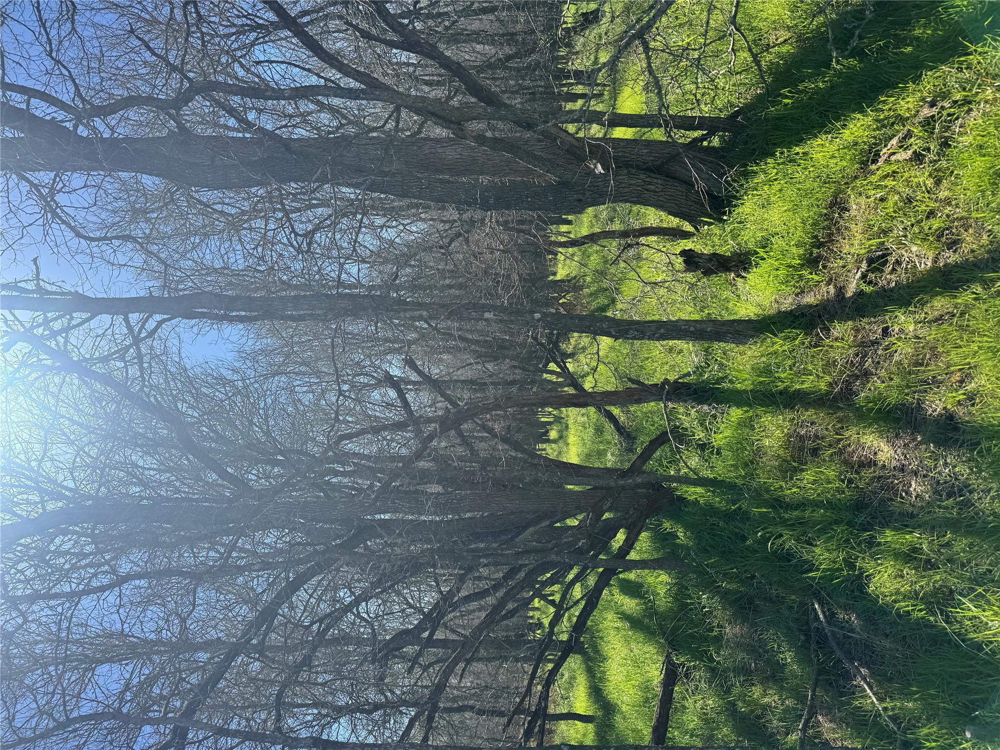 Lot 500 Kaaawa Ln, Bastrop, TX 78602