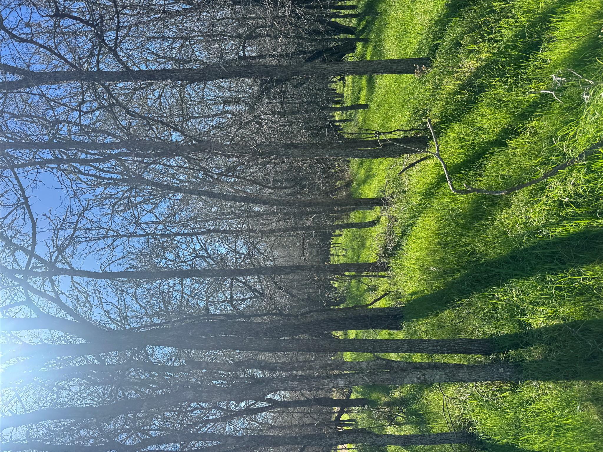 Lot 500 Kaaawa Ln, Bastrop, TX 78602