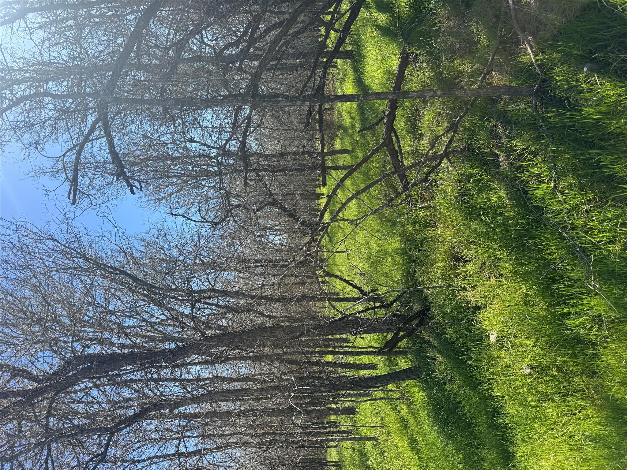 Lot 500 Kaaawa Ln, Bastrop, TX 78602