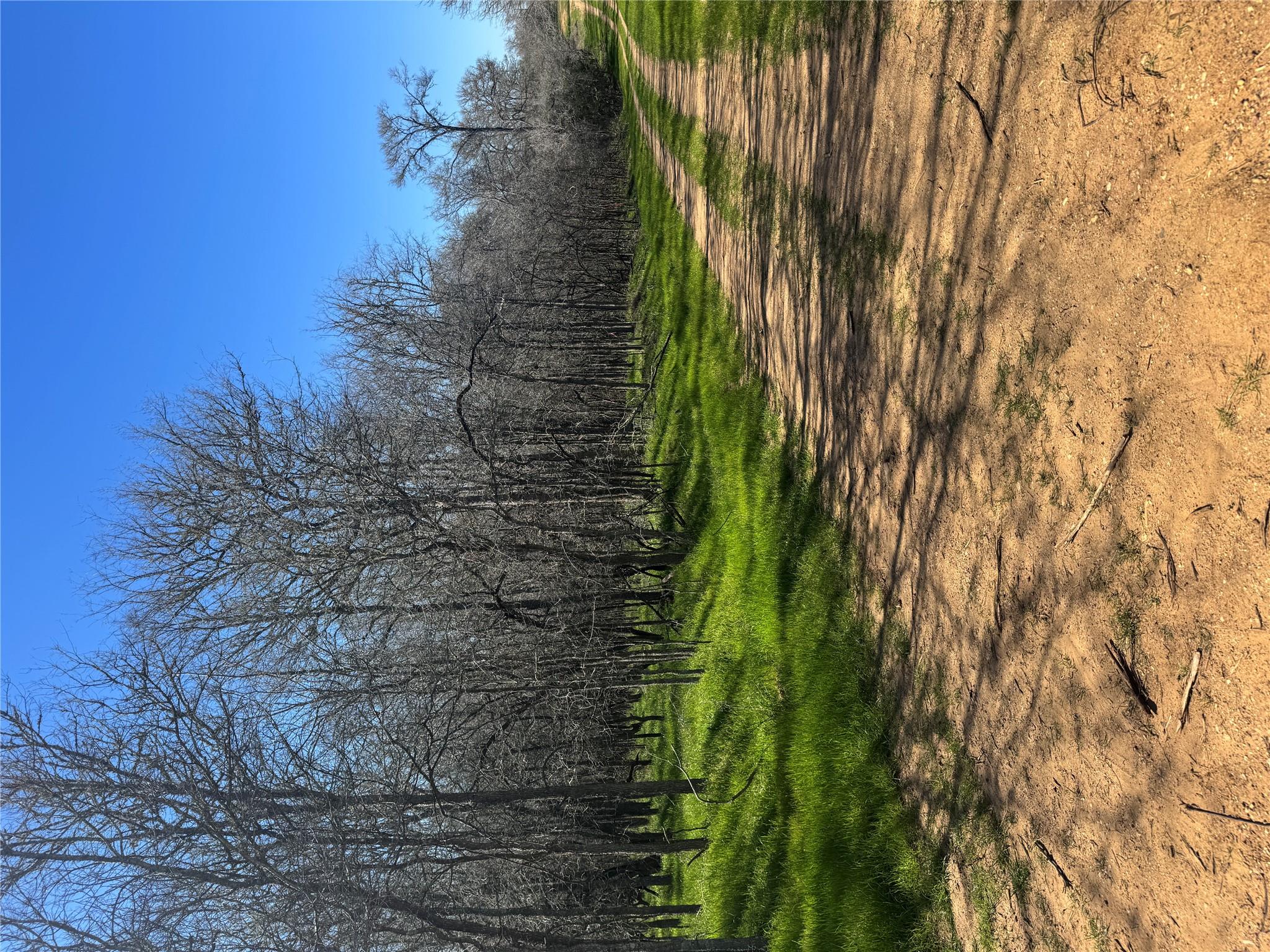 Lot 500 Kaaawa Ln, Bastrop, TX 78602