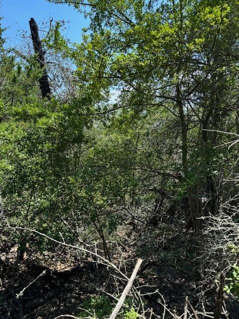 157 Lamaloa Ln, Bastrop, TX 78602