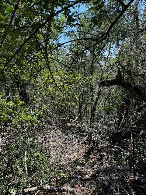 157 Lamaloa Ln, Bastrop, TX 78602