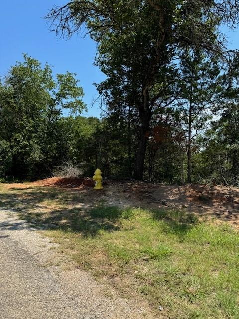 157 Lamaloa Ln, Bastrop, TX 78602