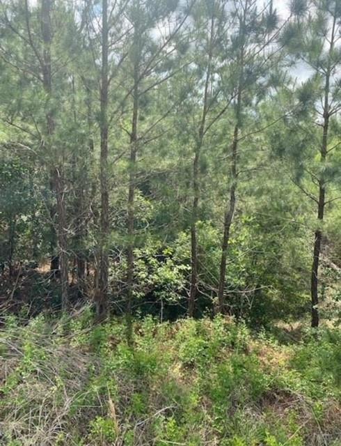 Lot 4 Kainalu Ln, Bastrop, TX 78602