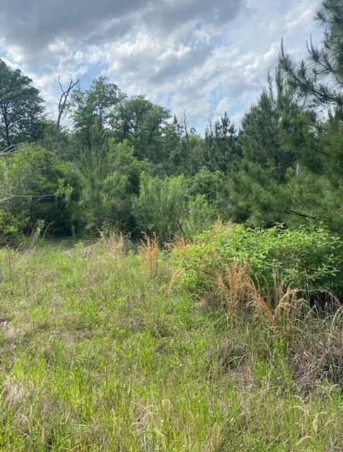 Lot 4 Kainalu Ln, Bastrop, TX 78602