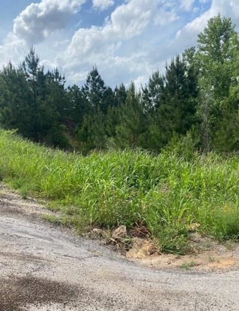 Lot 4 Kainalu Ln, Bastrop, TX 78602